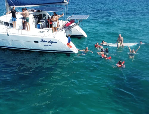 Snorkeling in Cabo San Lucas | Sail Baja Adventures