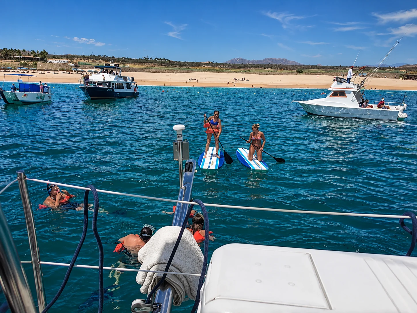 snorkel los cabos tour sial baja adventures