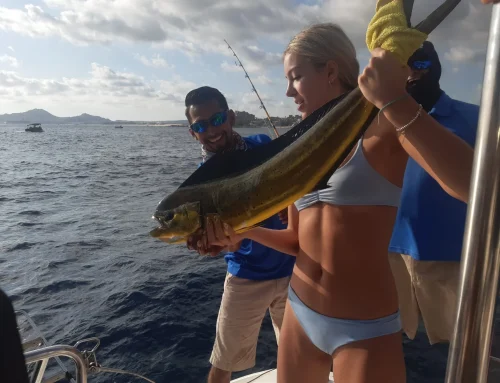 Pesca en Los Cabos