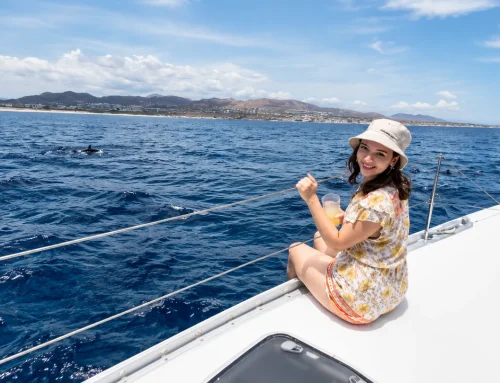Dolphin Watching in Cabo San Lucas | Sail Baja Adventures
